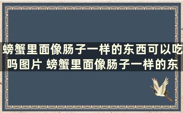 螃蟹里面像肠子一样的东西可以吃吗图片 螃蟹里面像肠子一样的东西可以吃吗